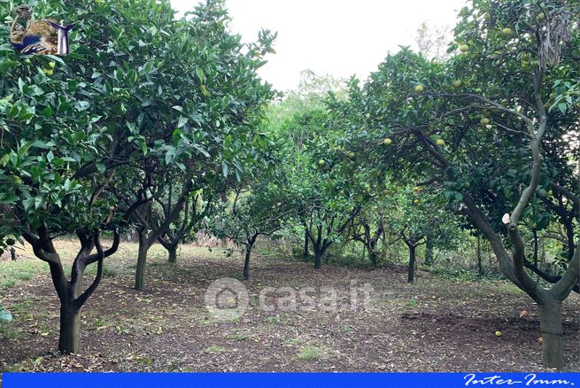 Terreno agricolo in commerciale in porto