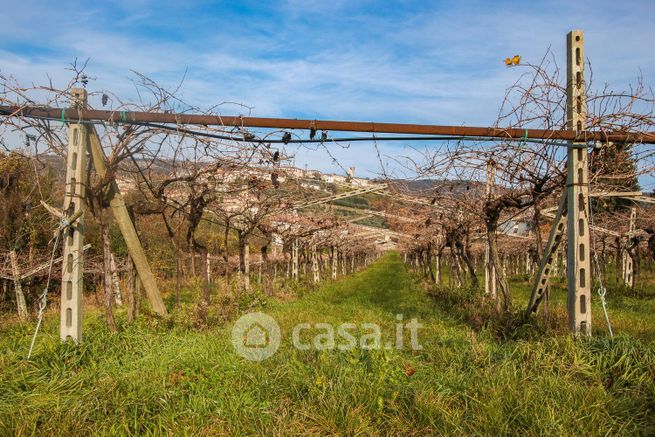 Terreno agricolo in commerciale in Via Case Sparse Conca d'Oro