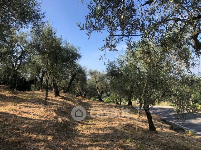 Terreno agricolo in commerciale in Via delle Pille