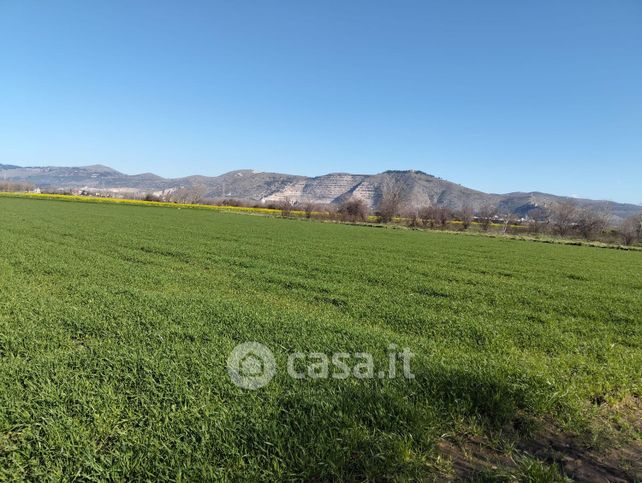 Terreno agricolo in commerciale in Via Giuseppe Mazzini