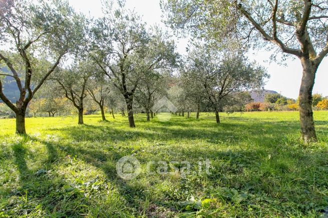 Terreno agricolo in commerciale in Via Borzina