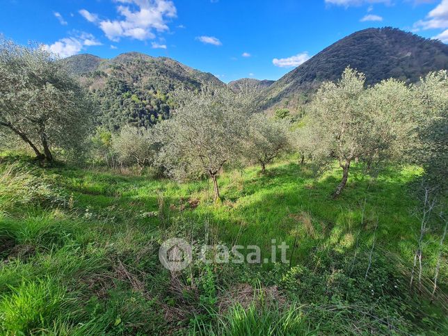 Terreno agricolo in commerciale in 
