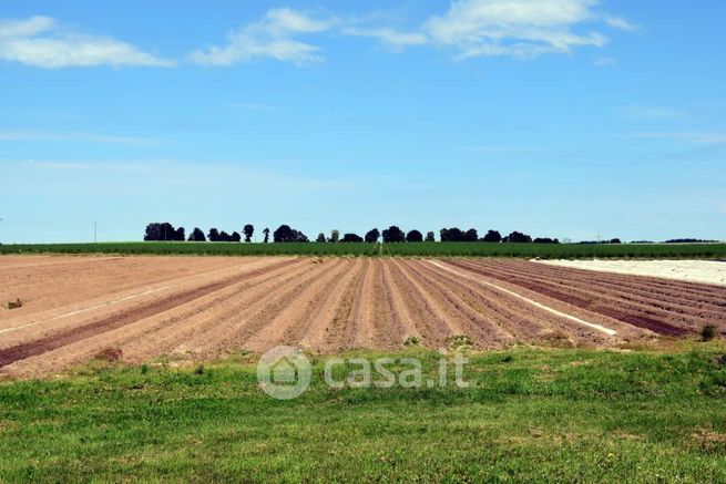Terreno agricolo in commerciale in Via Chiesa 6