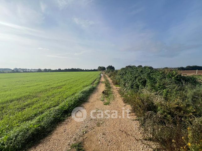 Terreno agricolo in commerciale in Via dei Cinque Archi 102