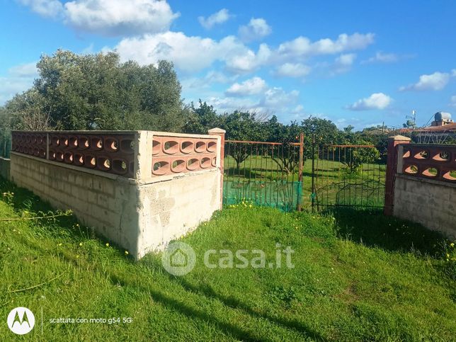 Terreno agricolo in commerciale in Via delle Palme