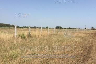 Terreno agricolo in commerciale in Viale Danimarca