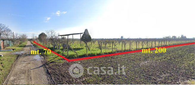 Terreno agricolo in commerciale in Via Scarano