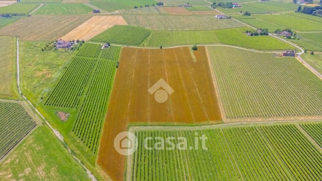 Terreno agricolo in commerciale in Via Ivo Bigi