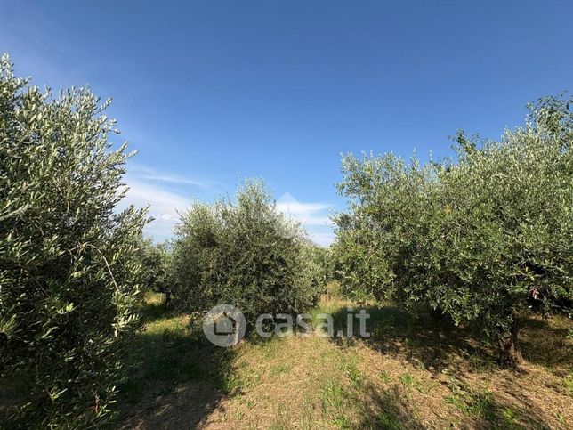 Terreno agricolo in commerciale in Via Mont'est