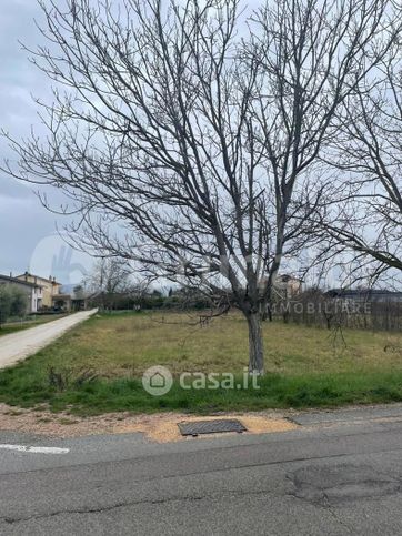 Terreno edificabile in residenziale in Via Frate Egidio 1