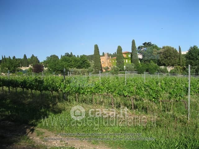 Terreno agricolo in commerciale in Via Anagnina 20