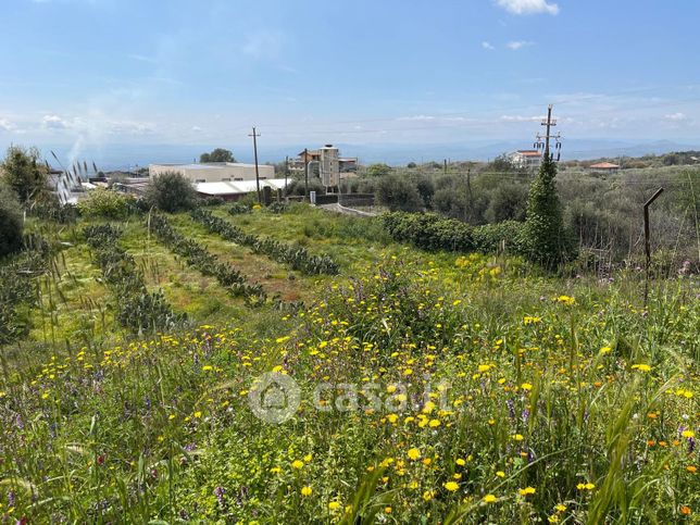Terreno agricolo in commerciale in Contrada Scagliola