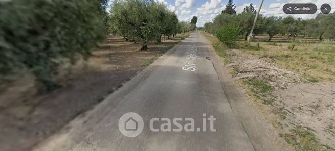 Terreno agricolo in commerciale in Strada Vicinale Schiavone