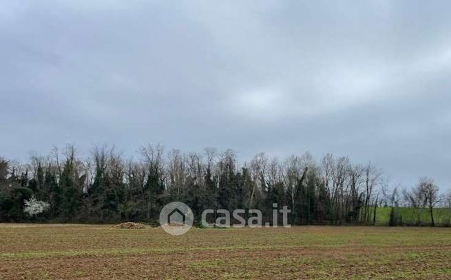 Terreno agricolo in commerciale in Via Palazzo