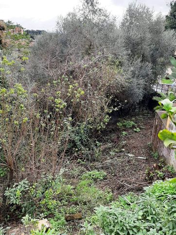 Terreno edificabile in residenziale in Via Trionfale