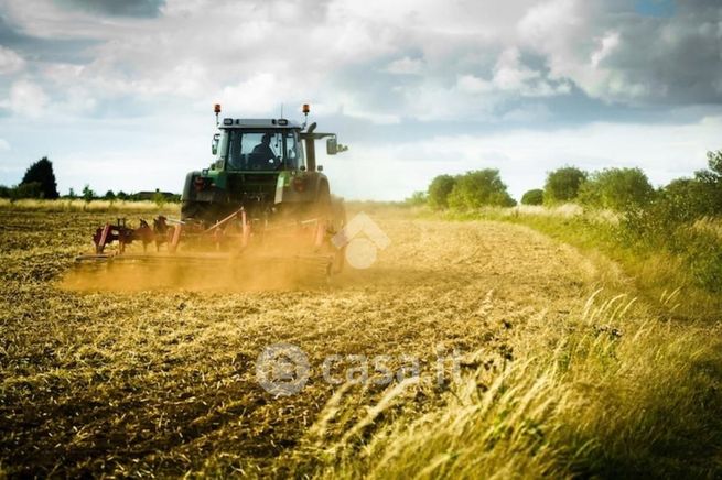 Terreno agricolo in commerciale in Via Calcio