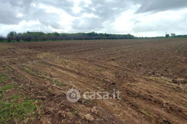 Terreno edificabile in residenziale in Strada Senza Nome