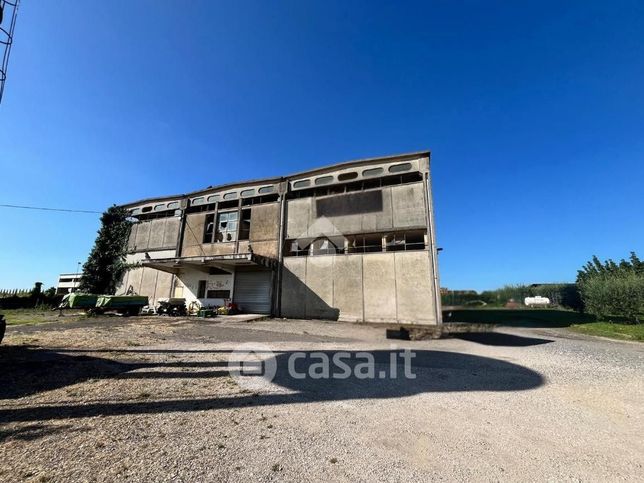 Capannone in commerciale in
