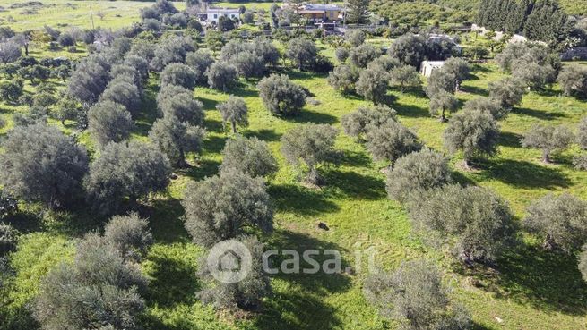 Terreno agricolo in commerciale in Via Ricciola 58