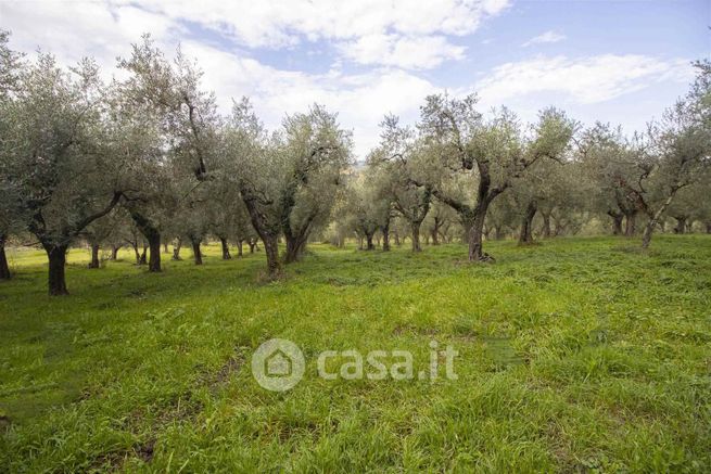 Terreno agricolo in commerciale in 