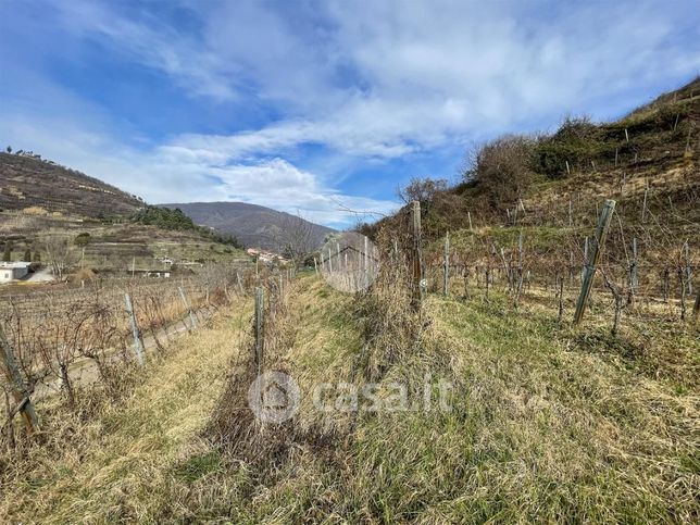 Terreno agricolo in commerciale in Via Guglielmo Marconi