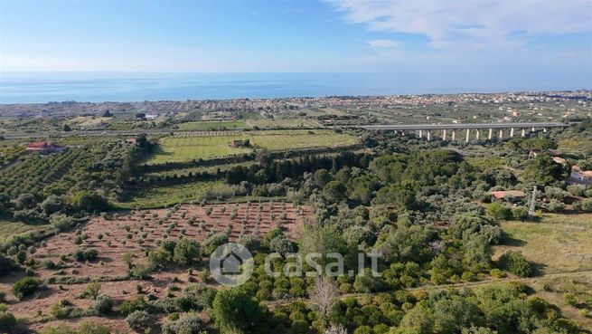 Terreno agricolo in commerciale in Contrada Piana Calzata