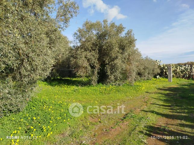 Terreno agricolo in commerciale in 