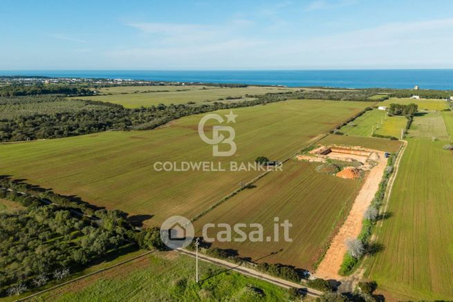 Terreno agricolo in commerciale in Contrada Boezio