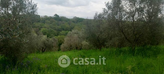 Terreno agricolo in commerciale in Strada Trinità