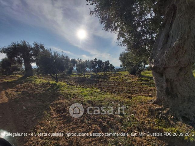 Terreno edificabile in residenziale in Contrada Brigida