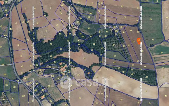 Terreno agricolo in commerciale in Strada di Palazzavelli