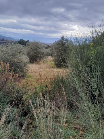 Terreno agricolo in commerciale in 