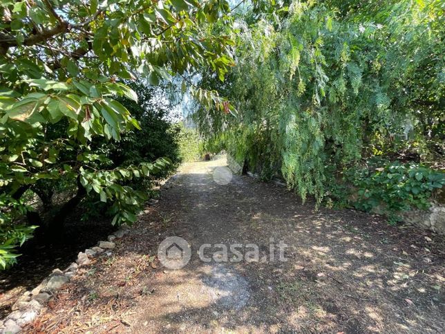 Terreno agricolo in commerciale in Via Casuzze