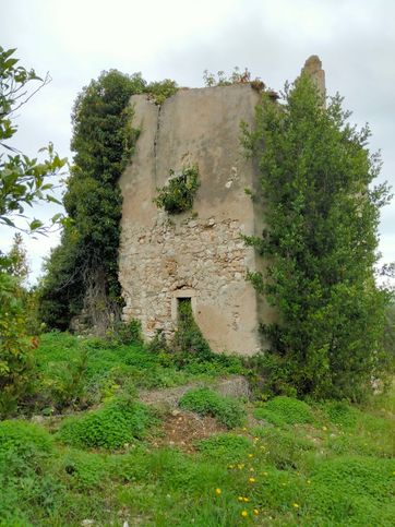 Terreno agricolo in commerciale in Località Malvestuto