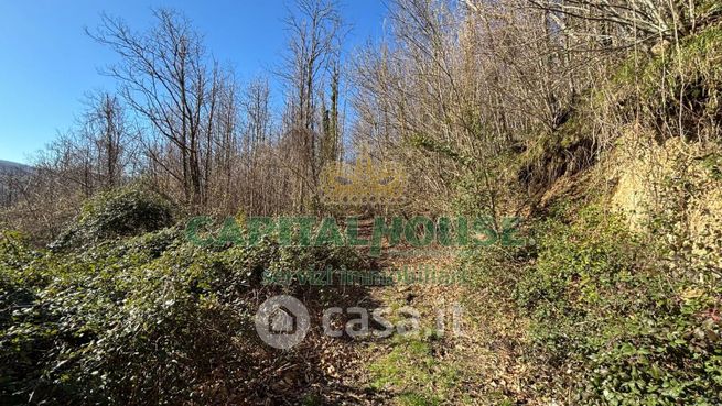 Terreno agricolo in commerciale in