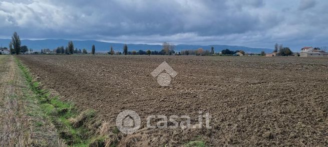 Terreno agricolo in commerciale in Via Ponte Ruito