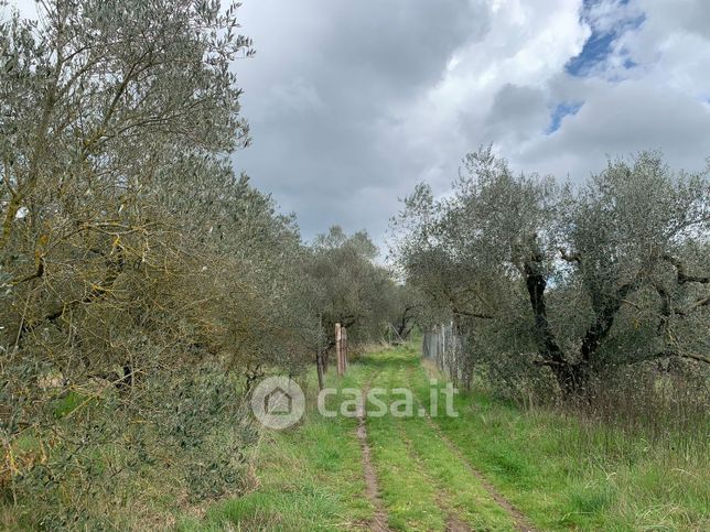 Terreno agricolo in commerciale in Strada dei Galli