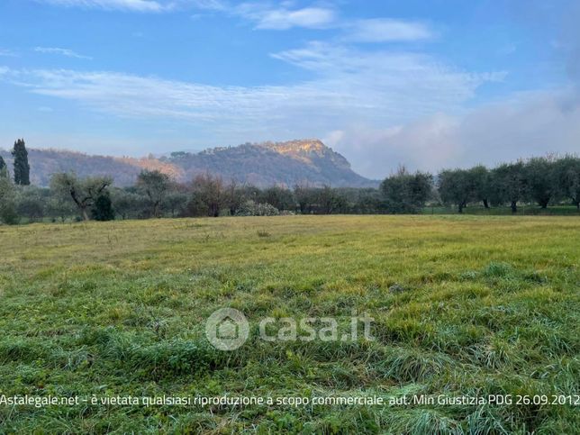 Terreno agricolo in commerciale in Via Agello