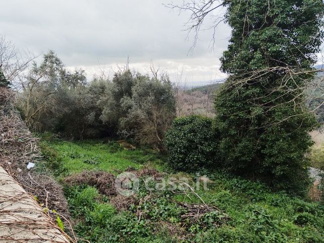 Terreno agricolo in commerciale in colognole