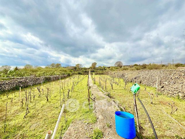 Terreno agricolo in commerciale in Via Conca Due 33