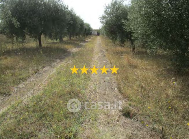 Appartamento in residenziale in Contrada Quarticciolo