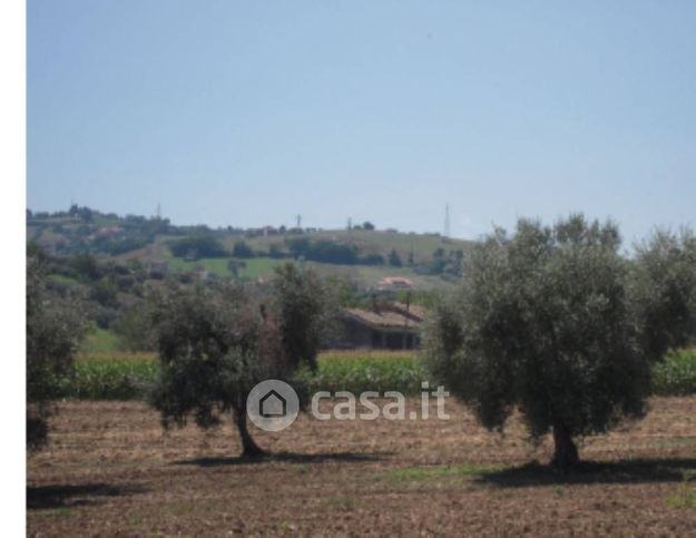 Terreno edificabile in residenziale in Frazione di San Reparata