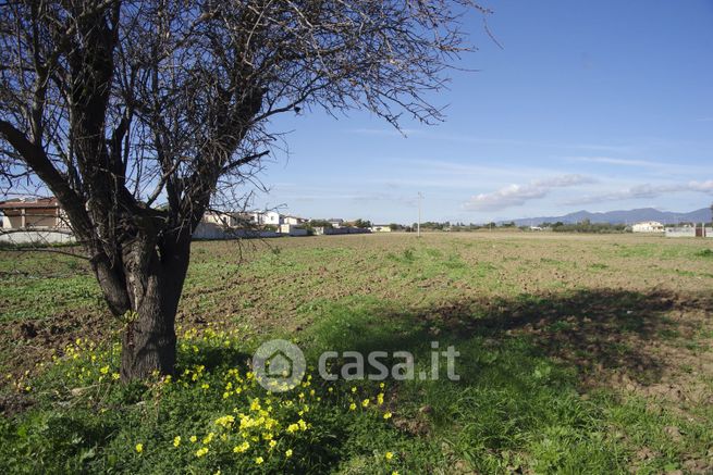 Terreno agricolo in commerciale in Via Barigadu