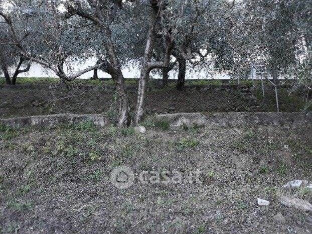 Terreno agricolo in commerciale in 