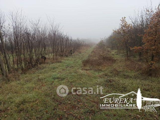 Terreno agricolo in commerciale in Località Bertoni