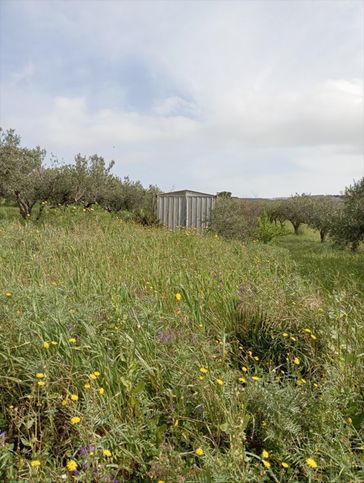 Terreno edificabile in residenziale in Via Rosariello