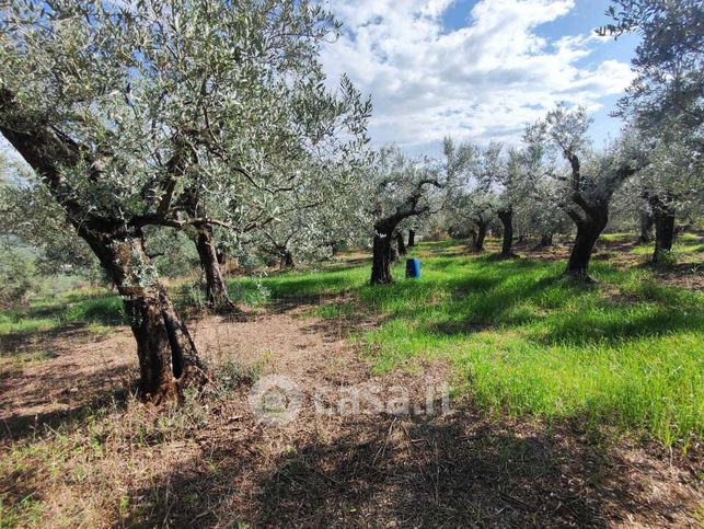 Terreno agricolo in commerciale in Via Col di Mezzo