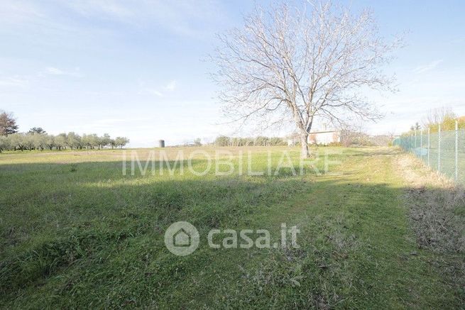 Terreno agricolo in commerciale in Via Sant'Andrea