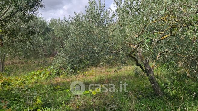 Terreno agricolo in commerciale in Via Etna