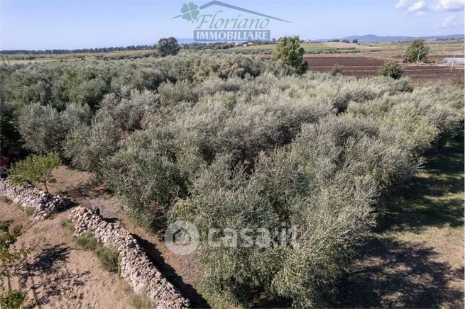 Terreno agricolo in commerciale in Strada Provinciale 140